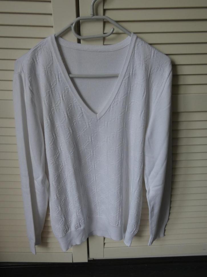 Witte trui met V-hals, Kleding | Dames, Truien en Vesten, Zo goed als nieuw, Maat 42/44 (L), Wit, Ophalen of Verzenden