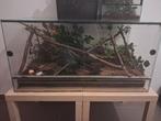 Terrarium., Dieren en Toebehoren
