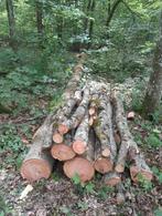Bois de chauffage 2m-4m et grumes par camion complet, Tuin en Terras, Brandhout, Ophalen, Berkenhout