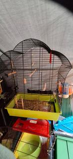 Vogelkooi met toebehoren, Dieren en Toebehoren, Vogels | Hokken en Kooien, Ophalen, Vogelkooi