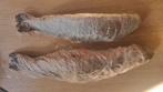 Verse Forel te koop, Ophalen
