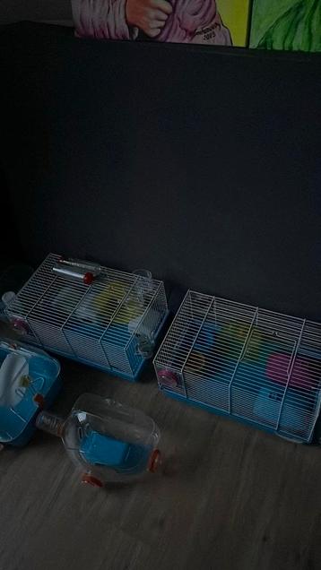 2 Hamsterkooien Te Koop Die Elkaar Kunnen Verbinden beschikbaar voor biedingen