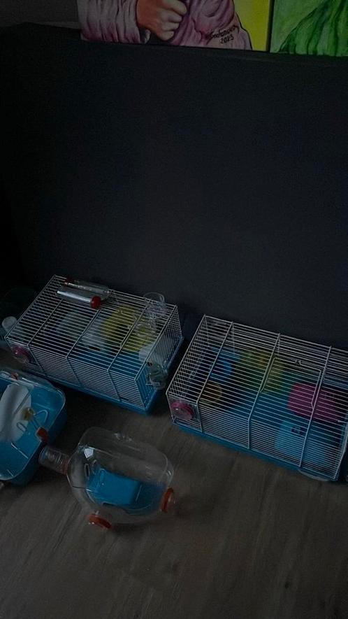 2 Hamsterkooien Te Koop Die Elkaar Kunnen Verbinden, Dieren en Toebehoren, Knaagdieren en Konijnen | Hokken en Kooien, Zo goed als nieuw