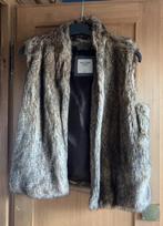 Veste sans manche ABERCROMBIE, Kleding | Dames, Bodywarmers, Ophalen