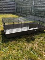 Cavia hok te koop - 6 maand gebruikt, Dieren en Toebehoren, Knaagdieren en Konijnen | Hokken en Kooien, Ophalen, Zo goed als nieuw