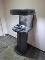 Aquarium Sera avec armoire, Enlèvement
