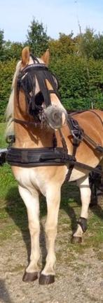 Enkelspan paardengetuig, Ophalen of Verzenden, Gebruikt, Recreatie