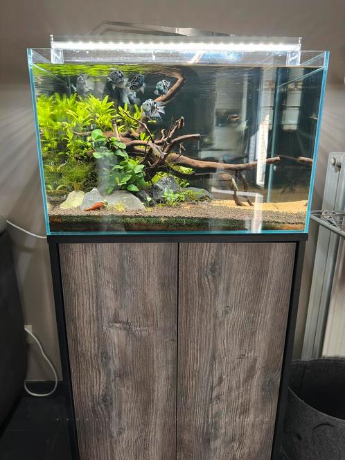 Superfish scaper 90 & qubic 60, Dieren en Toebehoren, Vissen | Aquaria en Toebehoren, Ophalen