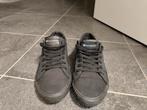 Sneakers Champion, Kleding | Heren, Schoenen, Ophalen, Gedragen, Sneakers