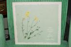 Lp Virginia Astley – From Gardens Where We Feel Secure, Ophalen of Verzenden, Gebruikt, 12 inch, Poprock