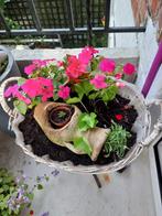 Panier avec fleurs les tout 7€, Ophalen, Zo goed als nieuw