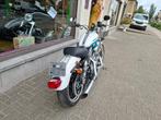 Harley XL883L super low -2017- 7300 km, Motoren, 2 cilinders, Chopper, Bedrijf, 883 cc