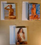 Lot de 47 calendriers érotiques poche., Enlèvement ou Envoi, Calendrier annuel, Comme neuf