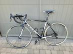 Ridley fenix met Campagnolo Record, Carbon, Zo goed als nieuw, Meer dan 20 versnellingen, Ophalen