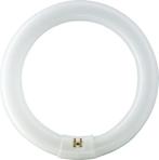 Philips TL-E buis 32W, Ophalen of Verzenden, Nieuw