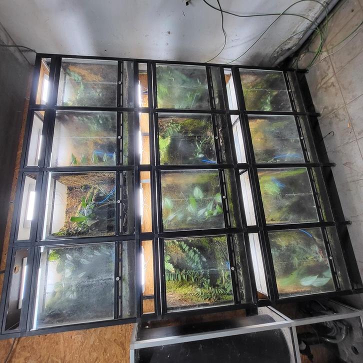 Stelling, Dieren en Toebehoren, Reptielen en Amfibieën | Toebehoren, Zo goed als nieuw, Ophalen