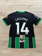 Gesigneerd shirt Adam Lallana, Brighton & Hove Albion, Ophalen of Verzenden, Nieuw, Shirt