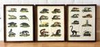 oude triptiek gekleurde afbeelding dieren encyclopedie kader, Antiek en Kunst, Ophalen of Verzenden