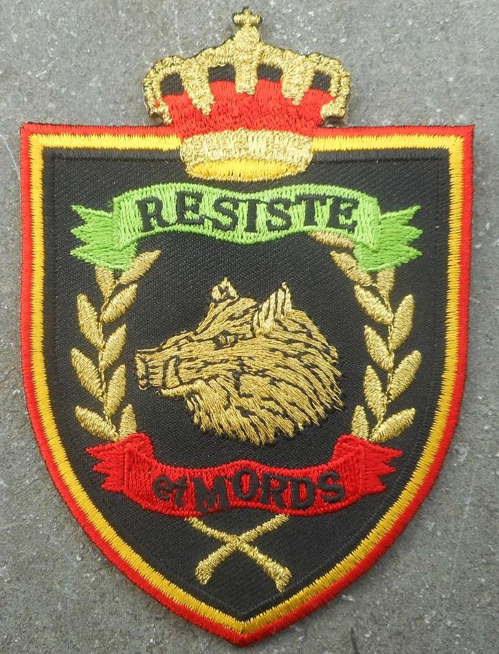 ARMEE BELGE - RGT DE CHASSEURS ARDENNAIS - INSIGNE BRODE, Collections, Objets militaires | Général, Armée de terre, Envoi