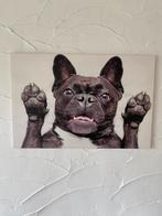 Canvas Franse Bulldog, Antiek en Kunst, Kunst | Schilderijen | Modern, Ophalen