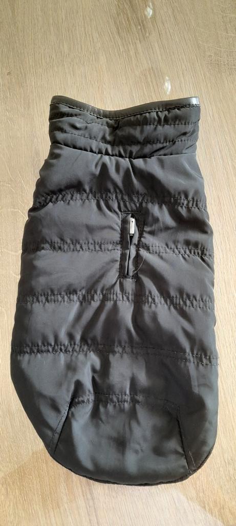Hondenjasje, Dieren en Toebehoren, Hondenkleding, Nieuw, Ophalen of Verzenden
