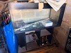 Aquarium Juwel- 120x40x60 - 240 litres + matériel de marque, Animaux & Accessoires, Enlèvement, Utilisé, Autres types