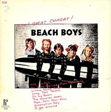 The Beach Boys – Wow! Great Concert!   beschikbaar voor biedingen