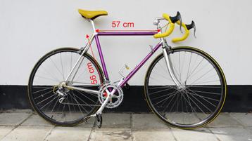 Vitus 979 80s gerestaureerd beschikbaar voor biedingen