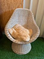 Rieten zetel wit, Ophalen, Gebruikt, Eenpersoons, Riet,vintage