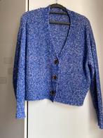 Blauw-wit vest, Ophalen of Verzenden, Zo goed als nieuw, Blauw