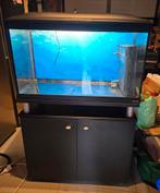 Ferplast aquarium en meubilair, Dieren en Toebehoren, Ophalen, Zo goed als nieuw