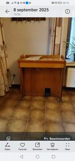 Leuk Electrische orgel voor jong en oud, Muziek en Instrumenten, Piano's, Ophalen