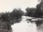 Postkaart Genk vijver, Ophalen of Verzenden, Ongelopen, Limburg