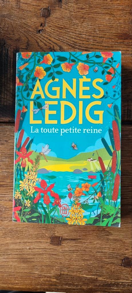 "La toute petite reine" de Agnès Ledig, Boeken, Romans, Zo goed als nieuw, Ophalen of Verzenden