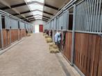 Stal vrij op moderne dressuurstal, Mise à l'étable, 1 cheval ou poney