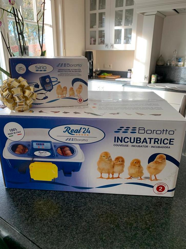 Broedmachine Borotto Real expert 24 nieuw /garantie, Dieren en Toebehoren, Pluimvee | Toebehoren, Broedmachine, Ophalen of Verzenden