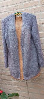 Vest maat s/m maat 53cm van oksel tot oksel yessica, Vêtements | Femmes, Pulls & Gilets, Taille 38/40 (M), Gris, Enlèvement ou Envoi