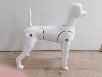 Hondentrimmen oefenhond beschikbaar voor biedingen