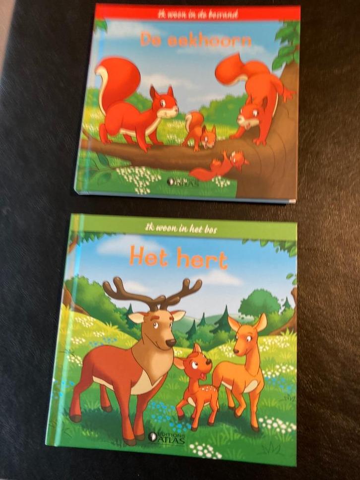 Boek - Het Hert en de Eekhoorn, Boeken, Kinderboeken | Baby's en Peuters, Zo goed als nieuw, 3 tot 4 jaar, Ophalen of Verzenden