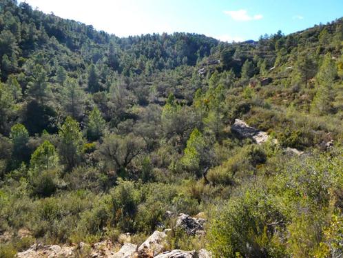 Finca à Calaceite (Aragon) - 0897, Immo, Étranger, Espagne, Autres types, Campagne