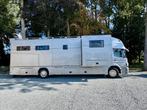 Paardenvrachtwagen, Auto's, Automaat, Elektrische buitenspiegels, Diesel, Particulier