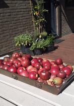 Houten schaal met natuurgetrouwe appels, Ophalen