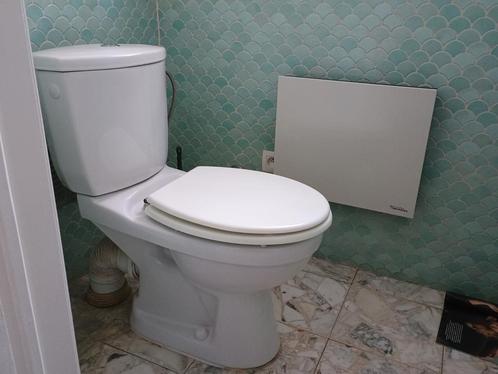 Toilet in proper en nette werkende staat, Doe-het-zelf en Bouw, Sanitair, Toilet, Ophalen