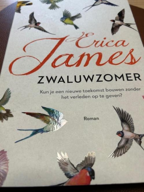 Zwaluwzomer, Boeken, Romans, Zo goed als nieuw, België, Ophalen of Verzenden
