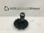 Versnelling Pookhoes Volkswagen Beetle CLUB 5C0711113E KLG, Gebruikt, Volkswagen, Ophalen of Verzenden, Volkswagen