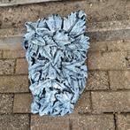 Beeld voor aan de muur, Enlèvement