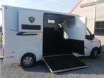 TE HUUR :paardentransport: nieuwe paardencamionette, Dieren en Toebehoren, Paarden