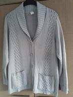 Damesvest, maat M, Kleding | Dames, Truien en Vesten, Ophalen of Verzenden, Zo goed als nieuw, Grijs, ANDERE