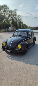 Vw kever ovaal volkswagen oldtimer 1956, Auto's, Particulier, Te koop, Volkswagen