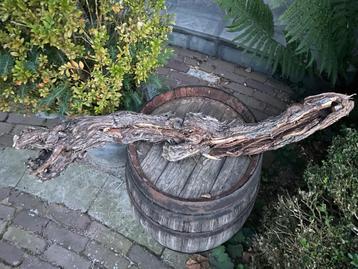 Oude druivenstronk ideaal voor bloemschikken  beschikbaar voor biedingen